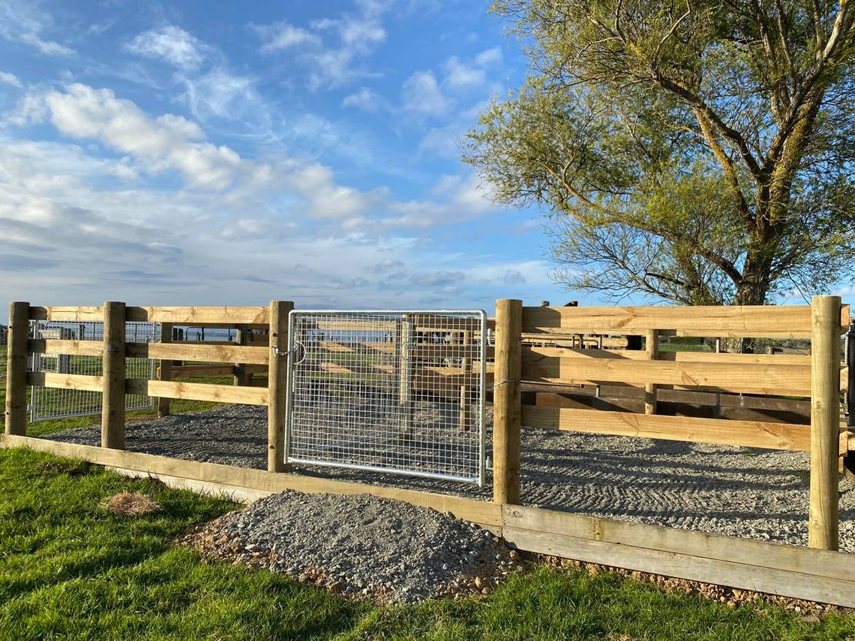 Saddle Fitting At Seagrove Equestrian, Waiau Pa, Auckland – Balanced 