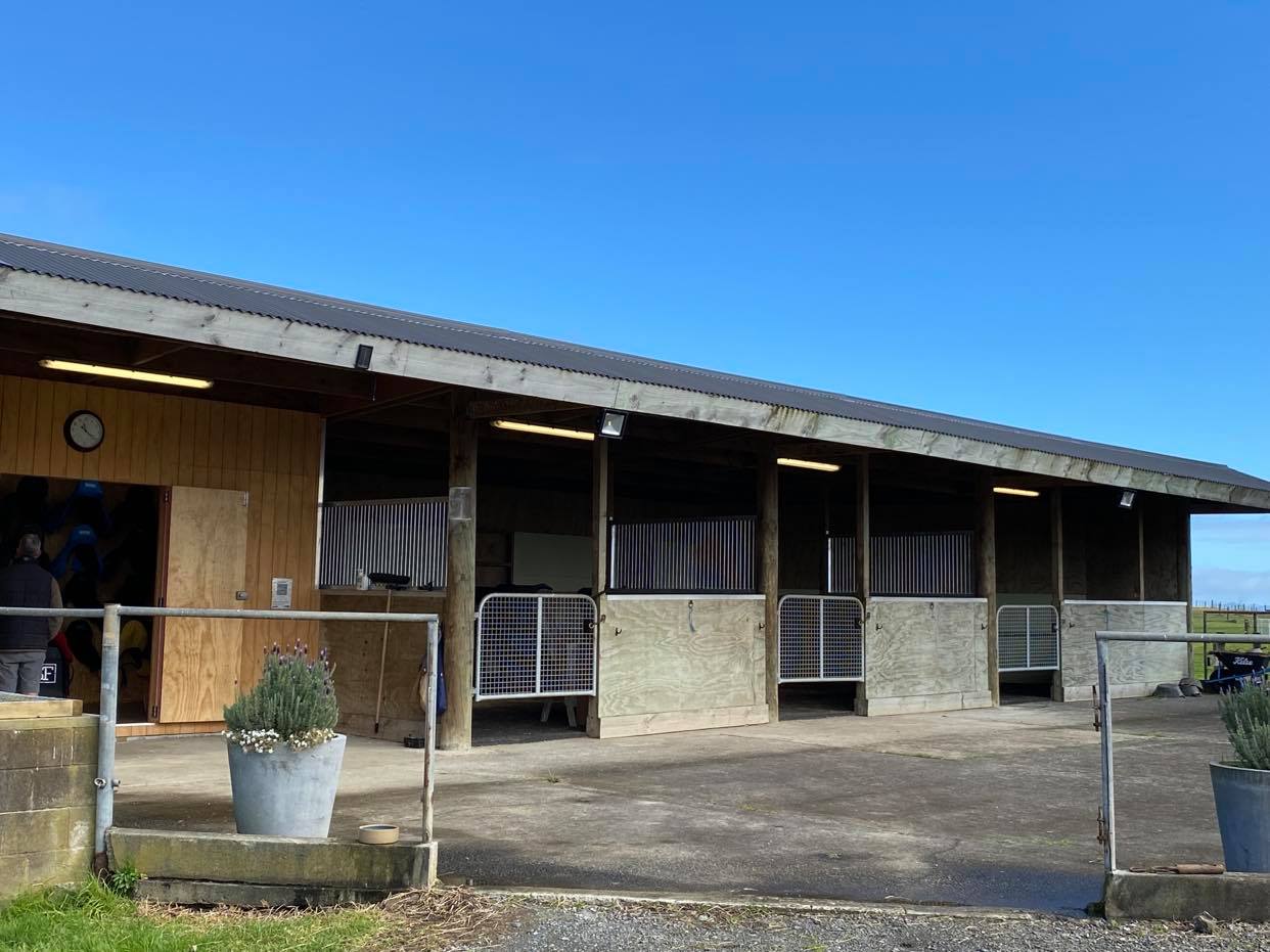 Auckland Saddle Fitter Chris Barnett offers saddle fittings in Waiau Pa