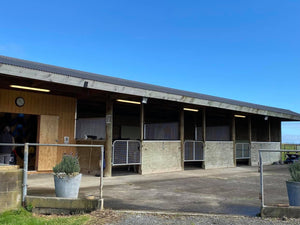 Auckland Saddle Fitter Chris Barnett offers saddle fittings in Waiau Pa