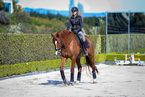 Regional Saddle Fittings Days